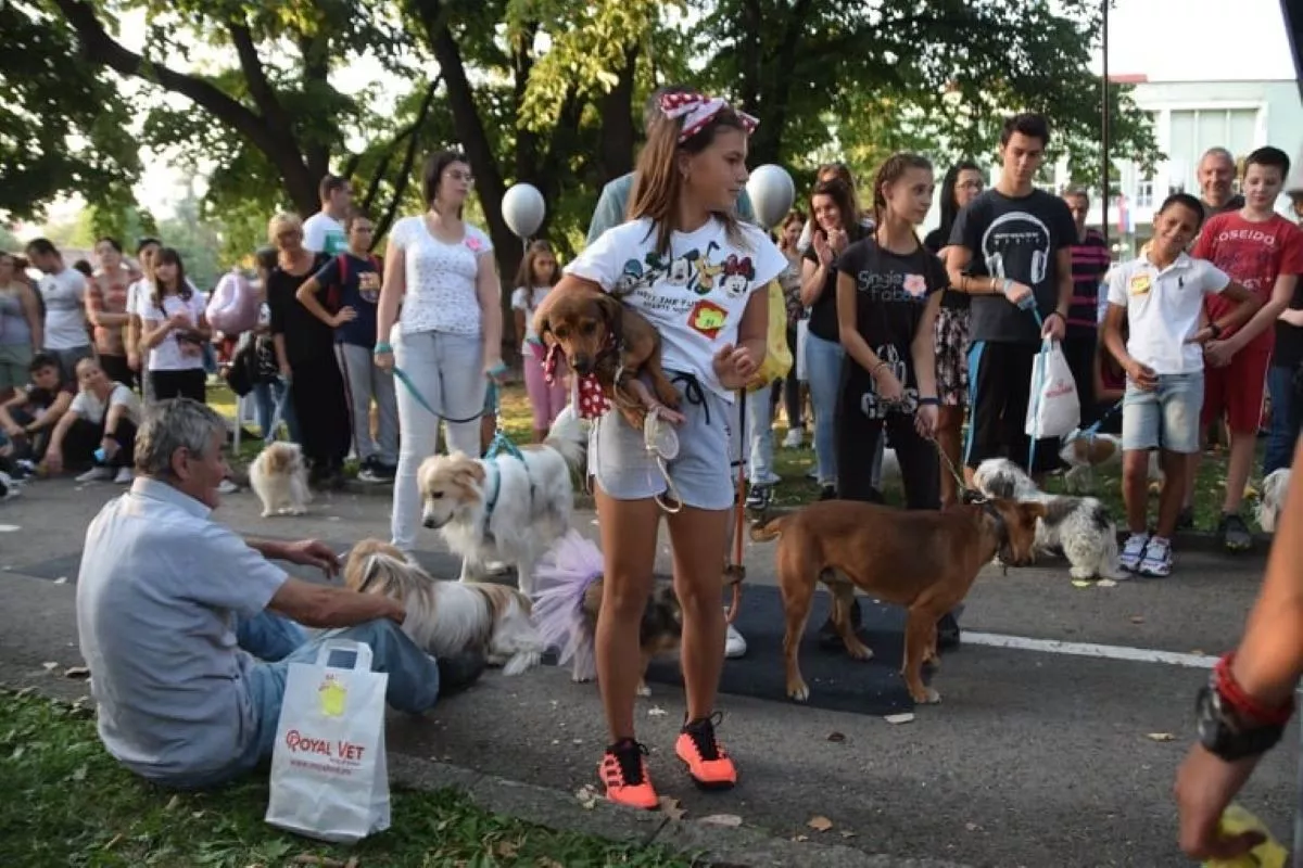 Izložba pasa mešanaca (arhiva)