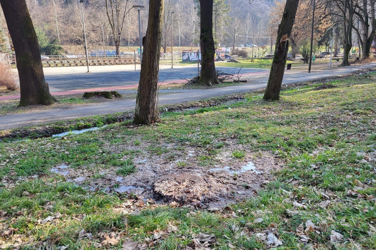 Izlivaju se fekalije u Parku Pećina