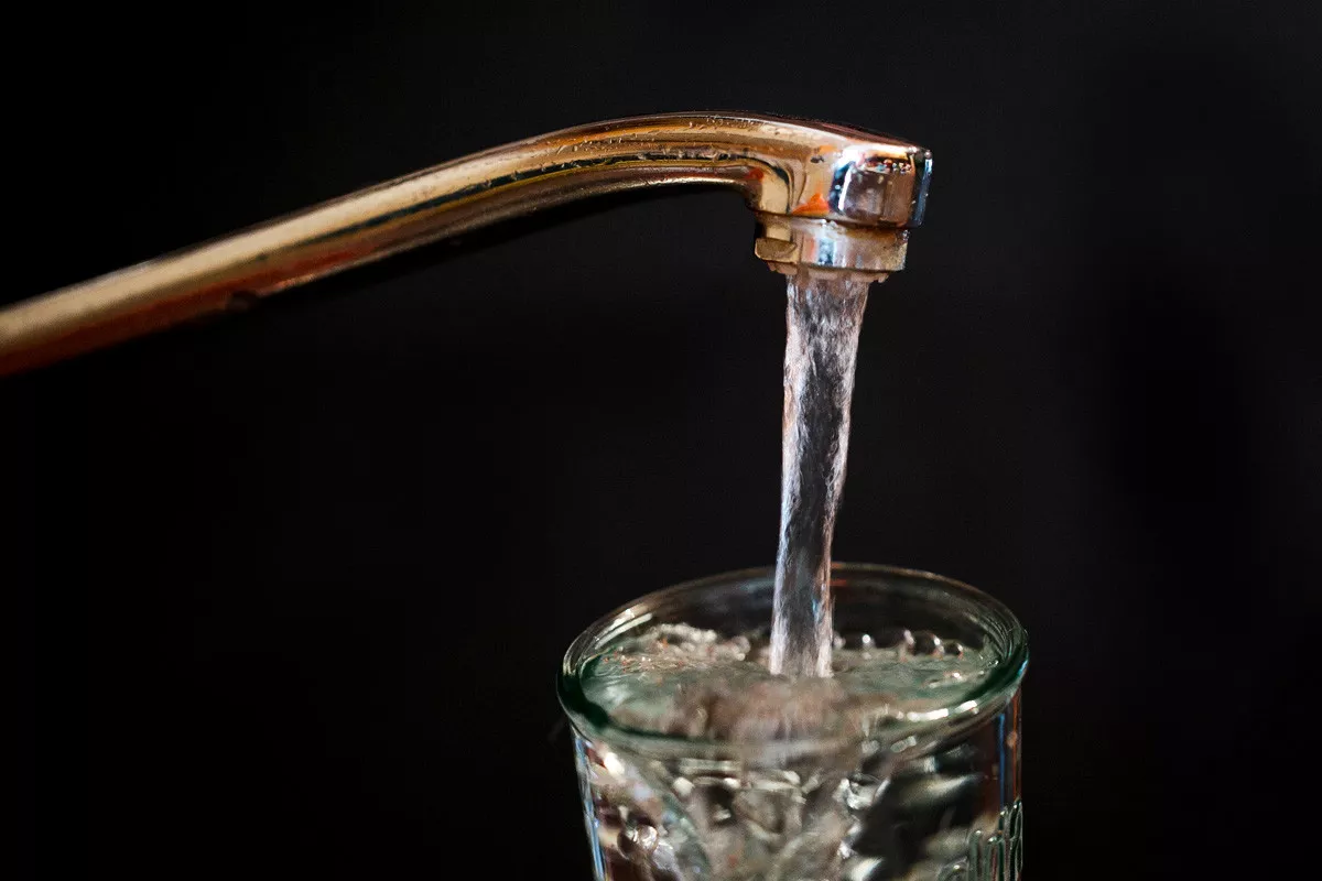 "Česmovača" (Foto: Đorđe Đoković)