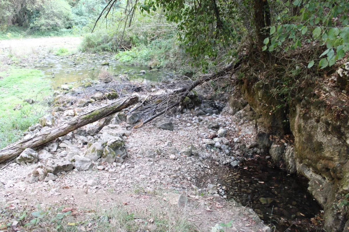 Gradac bez glavnog vrela