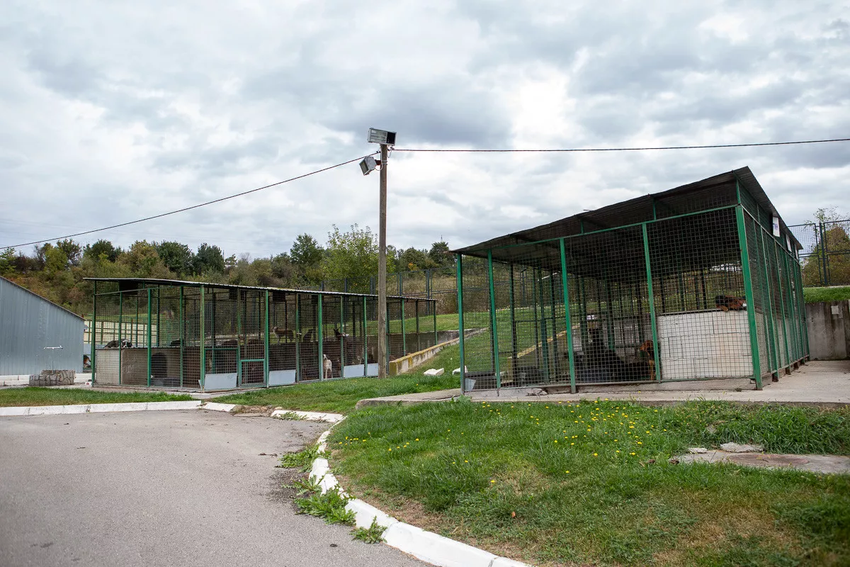 Azil za pse u Zlatariću