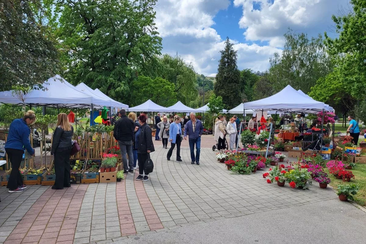 Izložba cveća u Parku na Jadru (2024.)