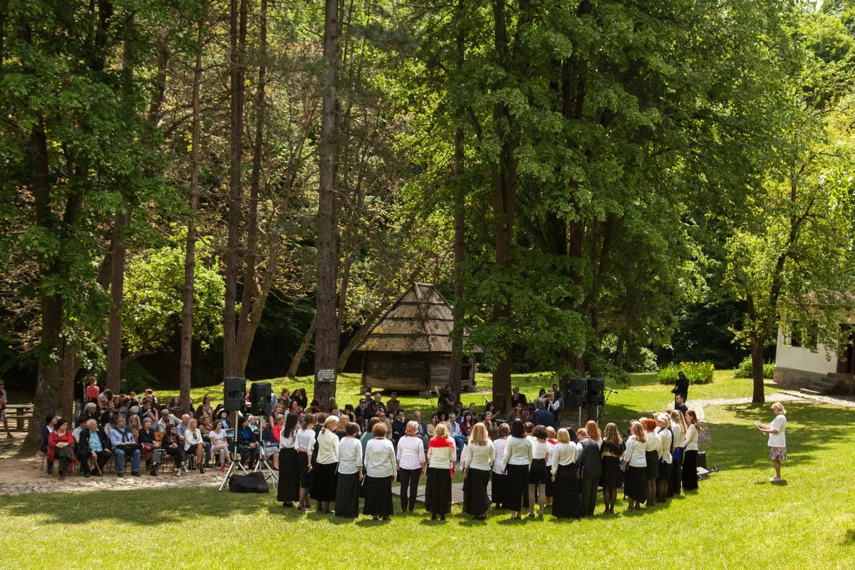 Brankovina (arhiva)