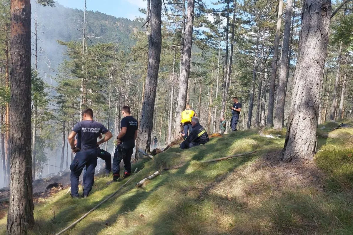 Požar na Divčibarama