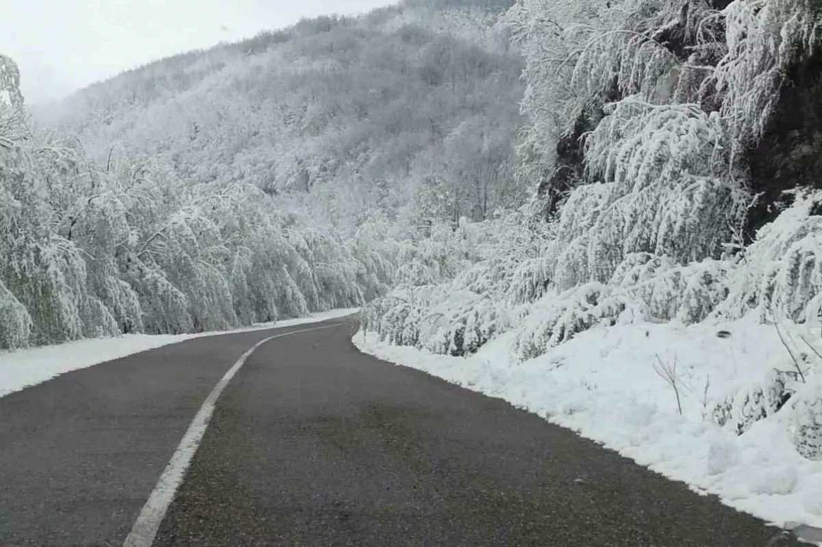 Saobraćajnica