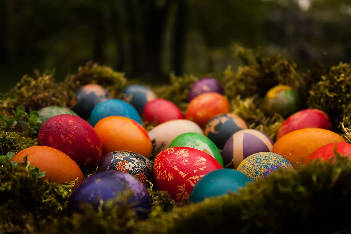Uskršnja jaja (Foto: Đorđe Đoković)