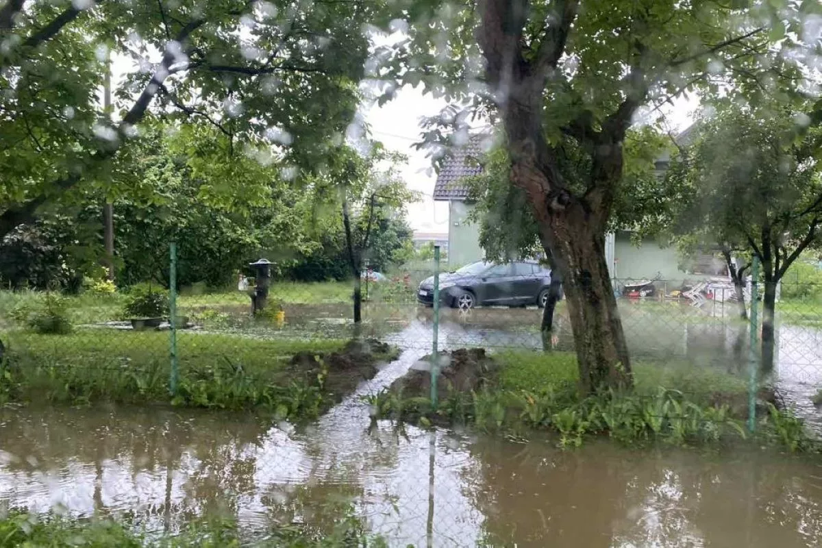 Domaćinstvo u Beloševcu
