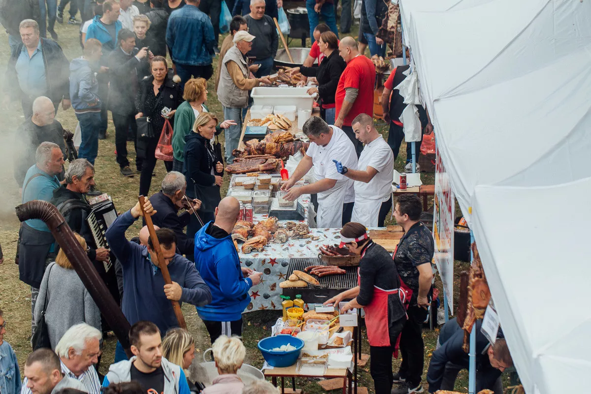 Festival duvan čvaraka