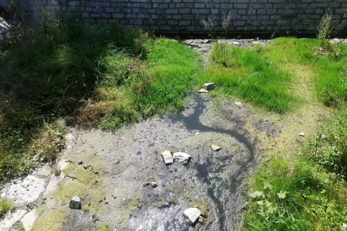 Čiste Divčibare