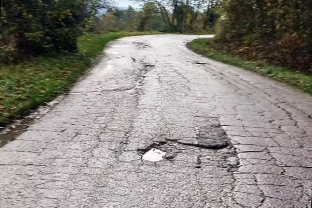Regionalni put Trbušani-Jeremića ornica-Pranjani