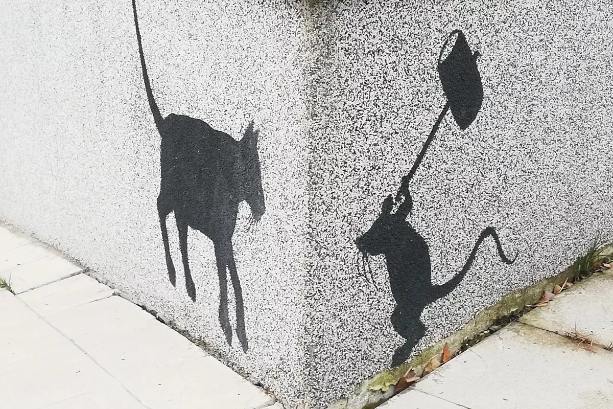 Mačaka i miš