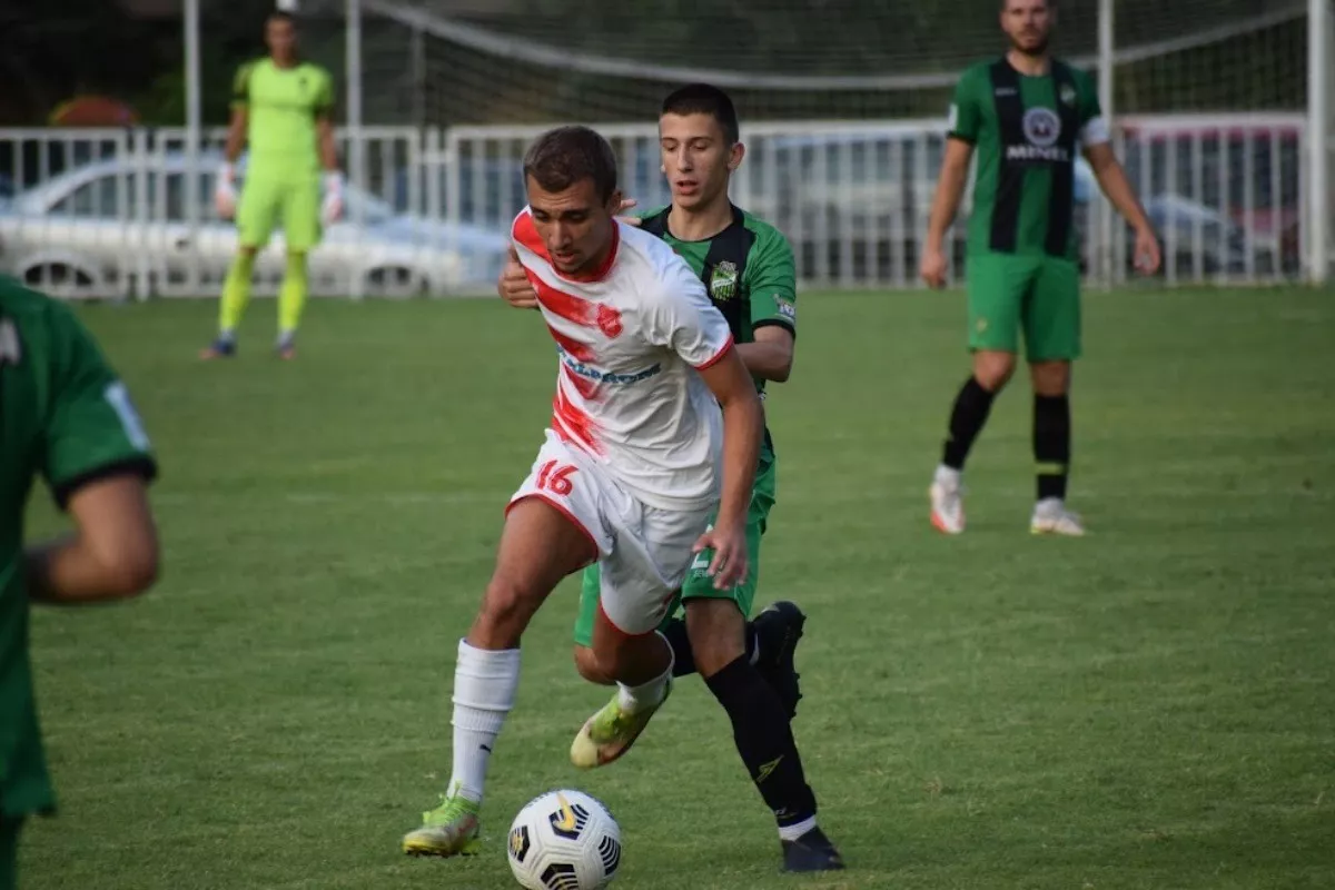 Nebojša Aleksić