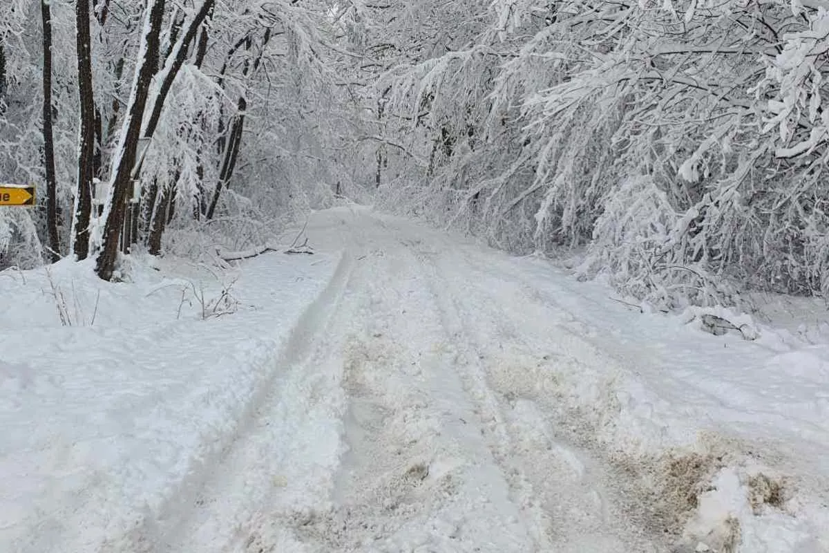 Put u opštini Mionica