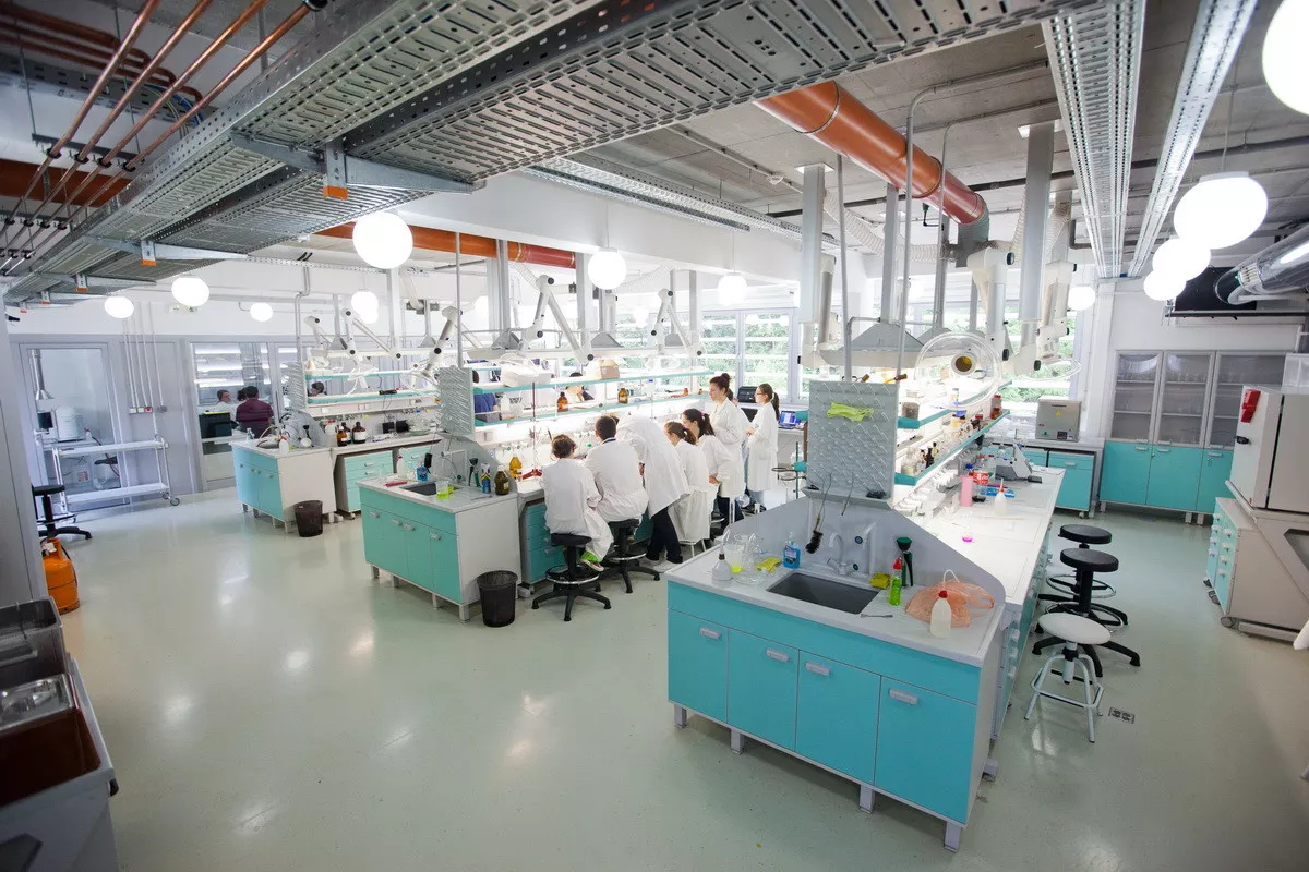 IS Petnica (ilustracija)