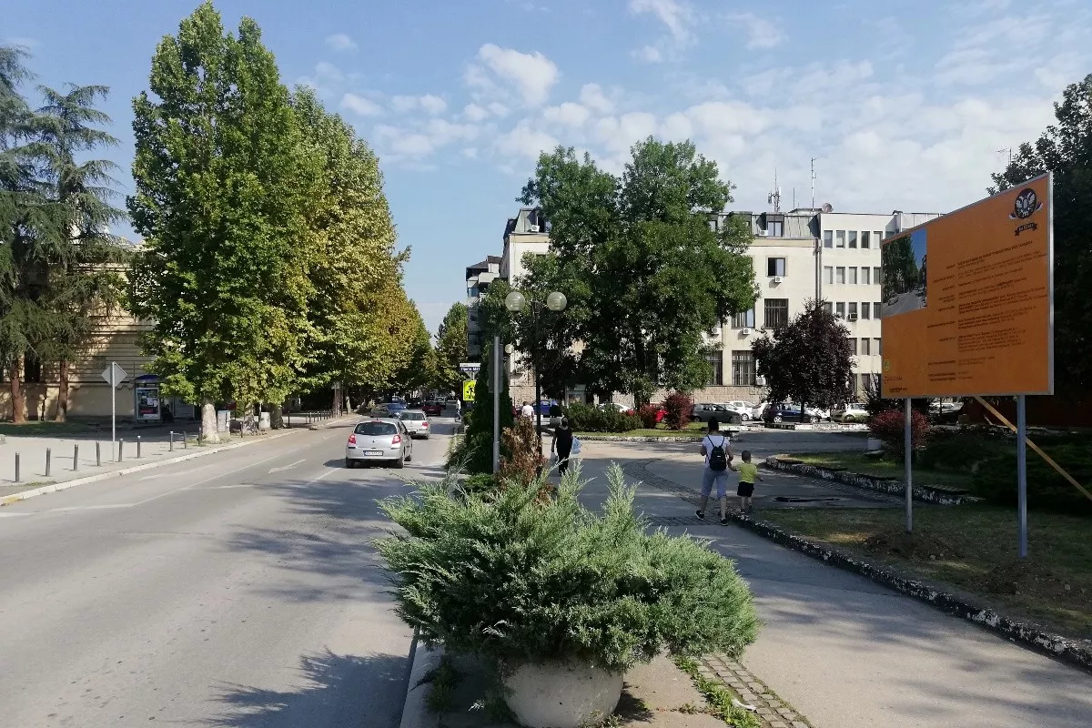 Ulica Vuka Karadžića