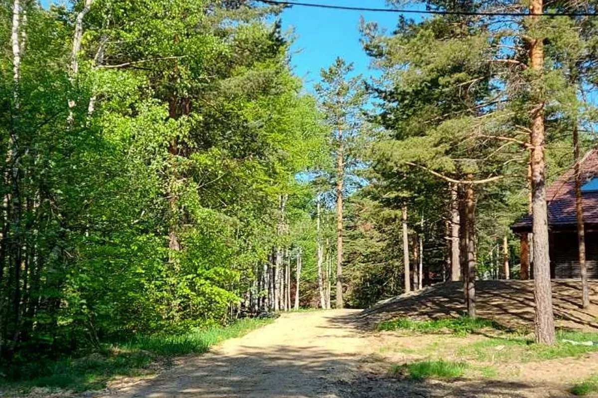 Ulica Zorke Manojlović