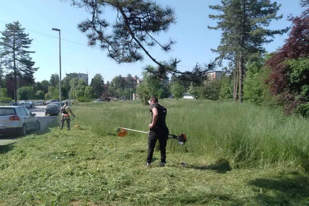 Košenje dvorišta bolnice