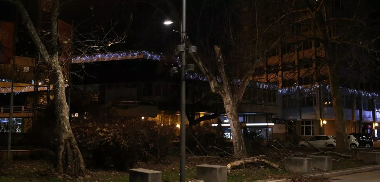 Polomljene grane u Karađorđevoj