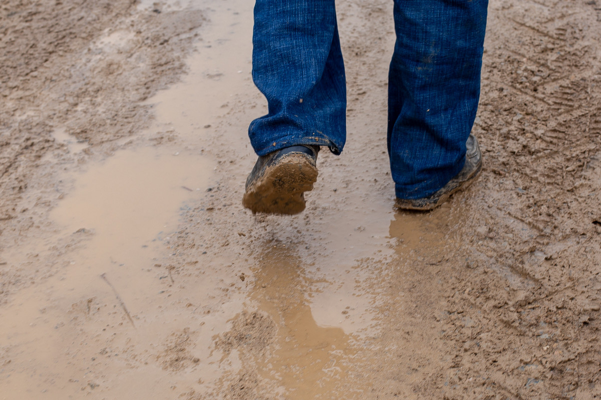 Blatnjav put (Foto: Đorđe Đoković)