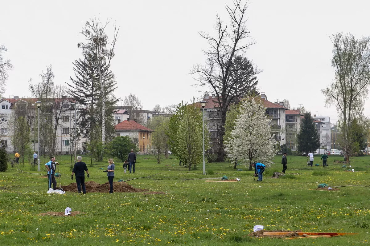 Rotarijancu Valjeva i Velenja sade drveće