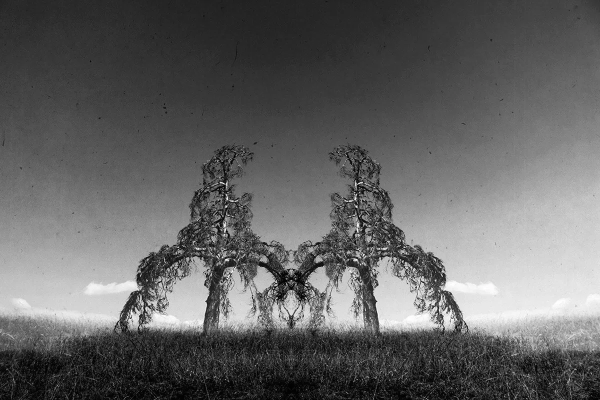 Otherworldly nature symbols