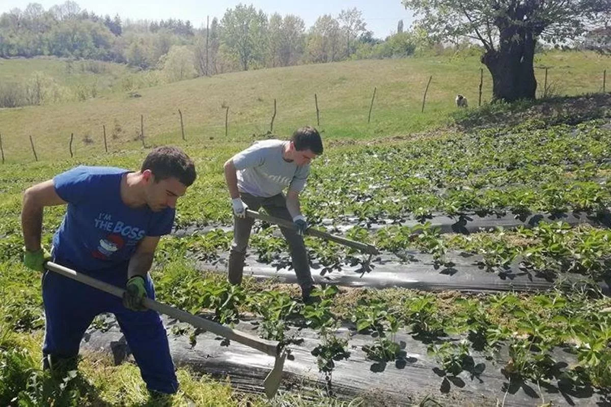 Pavle Đorđević i Predrag Milovanović