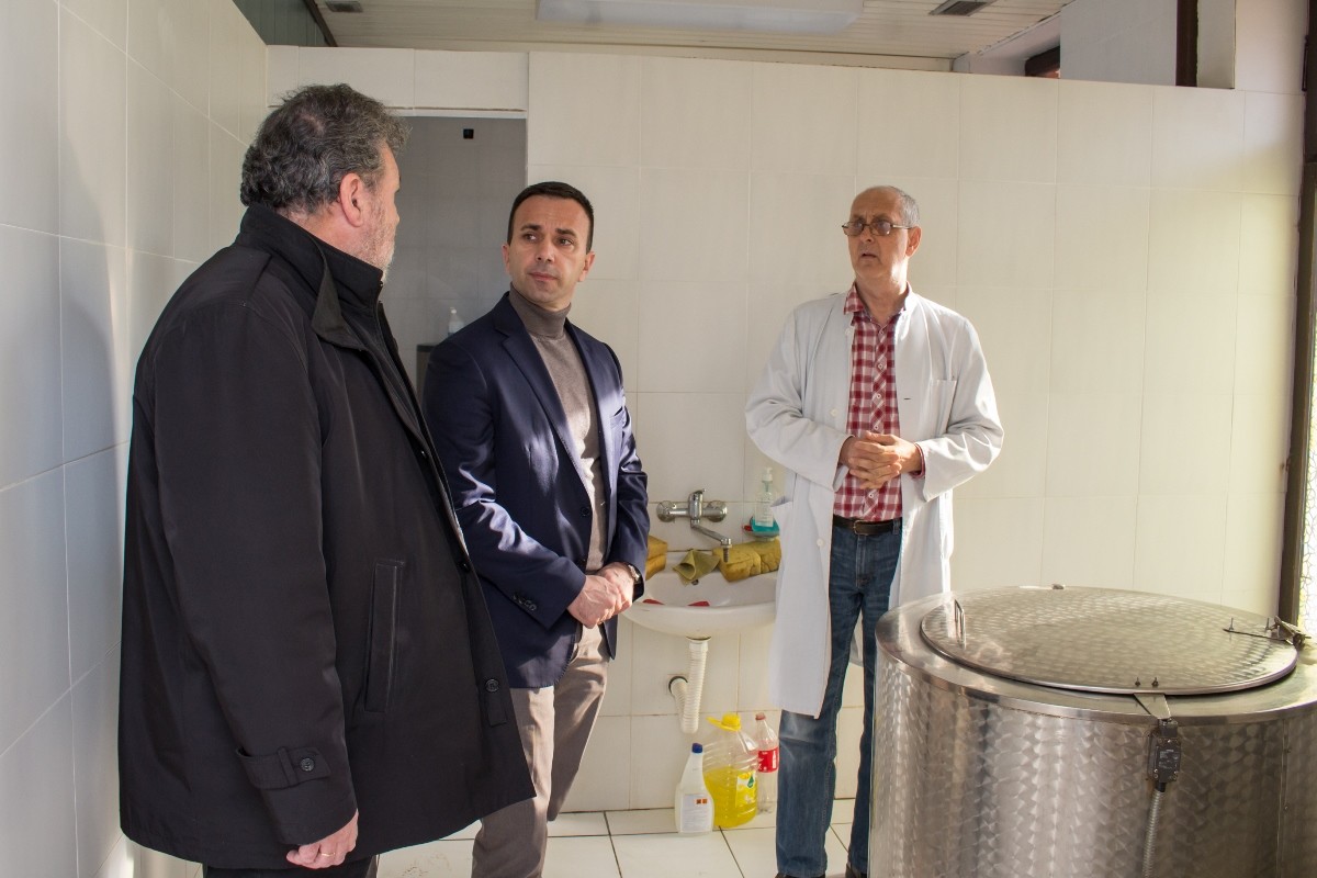 Misić, Janković i Kuburović