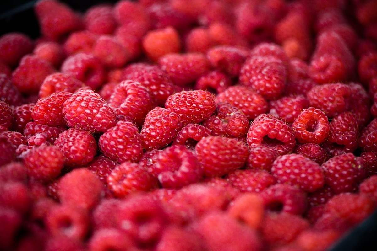 Maline