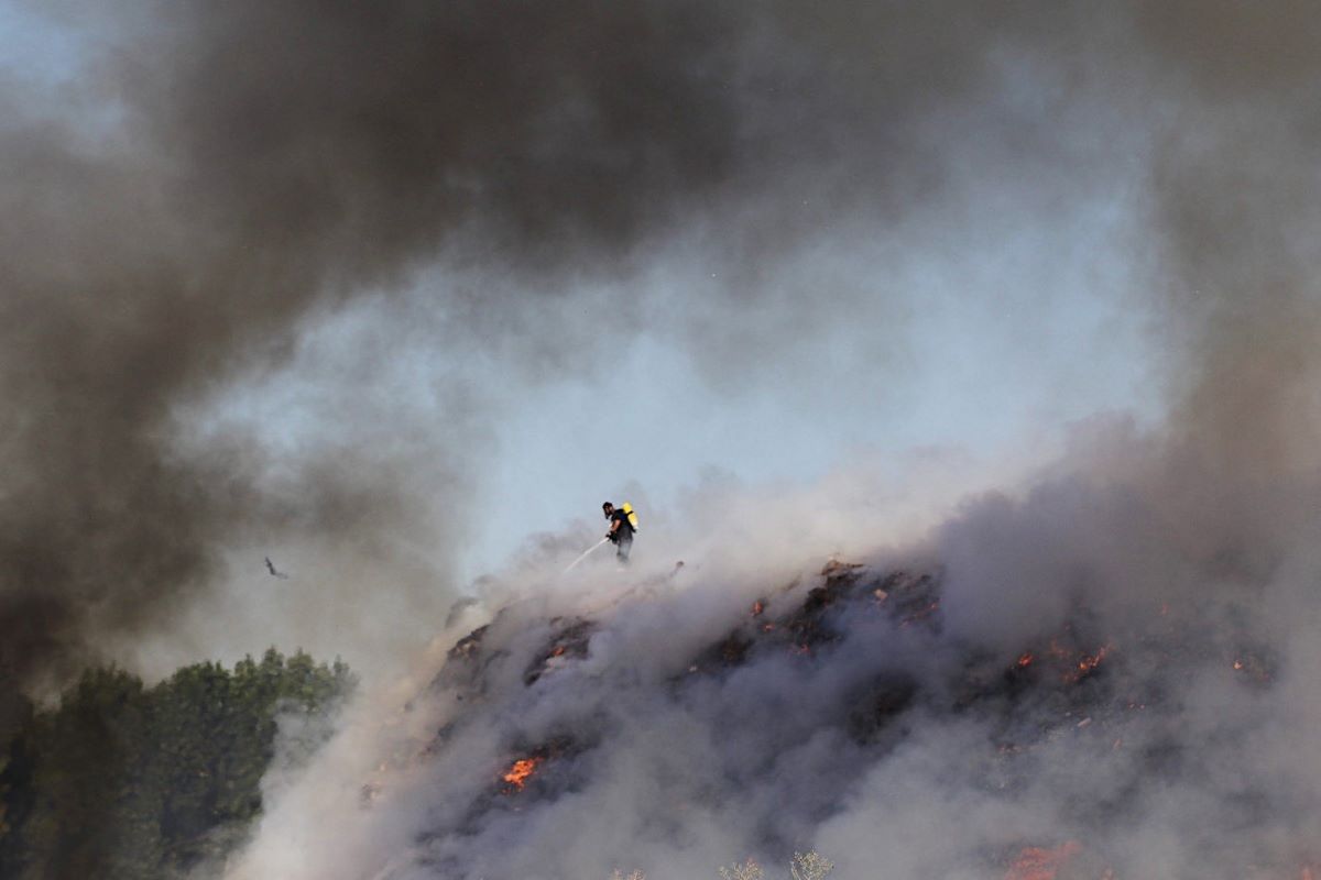 Požar (Foto: Đorđe Đoković)