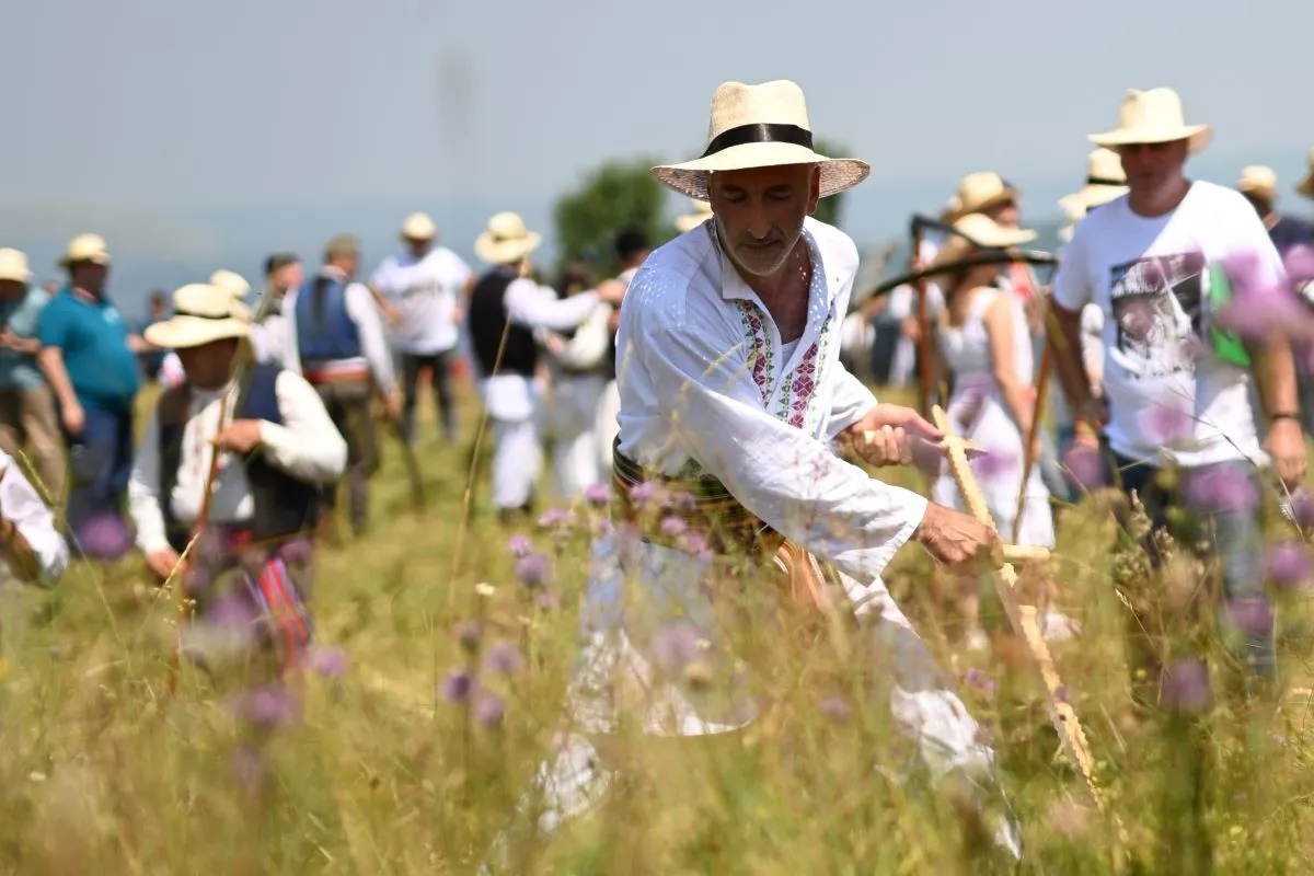 Kosidba na Rajcu (arhiva) (Foto: TO Ljig)