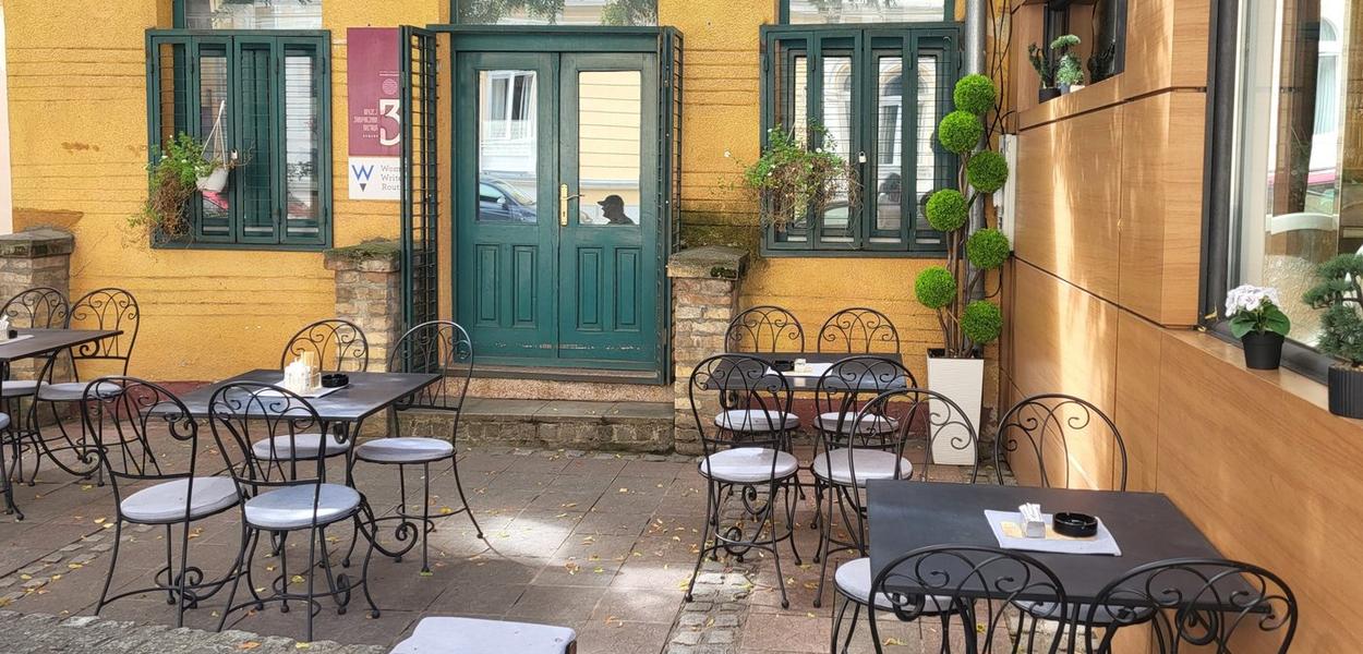 Bašta na platou Muzeja zavičajnih pisaca (Foto: Kolubarske.rs)