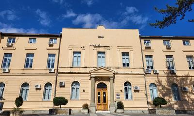 <p>Mionica</p>