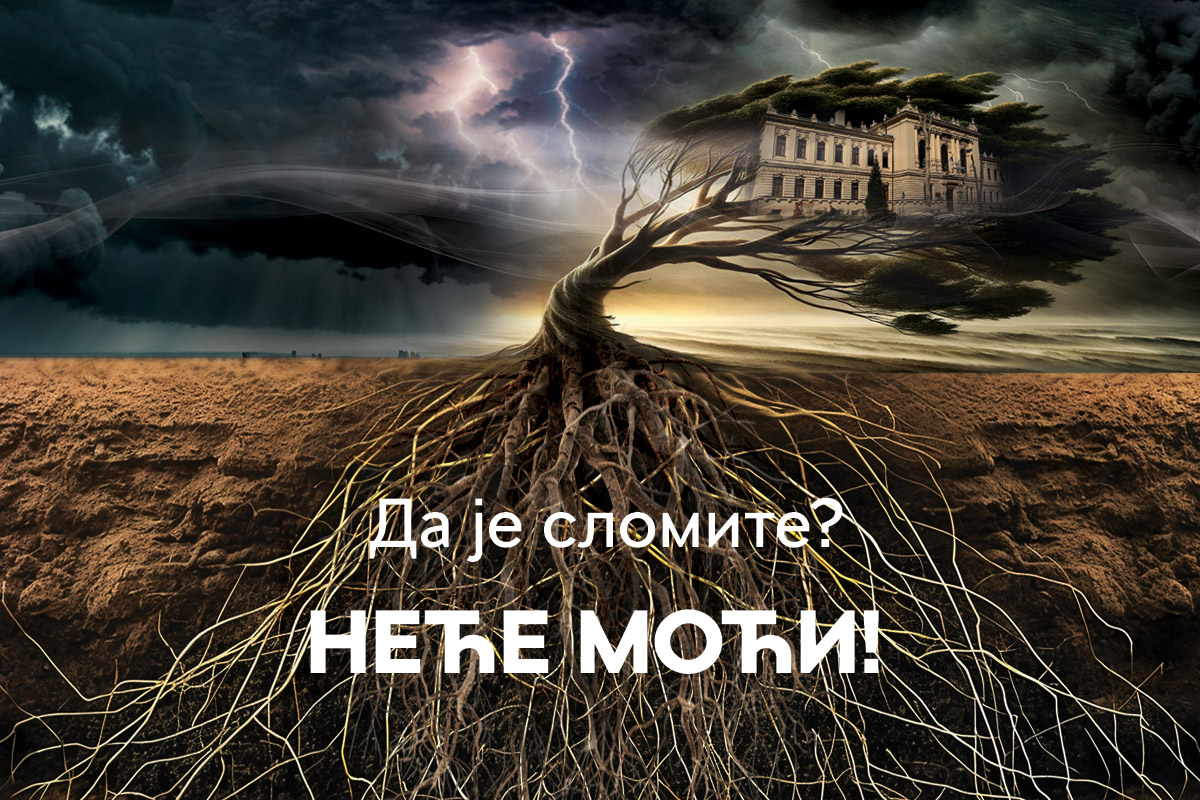 Duboki koreni (Foto: Dušan Arsenić)