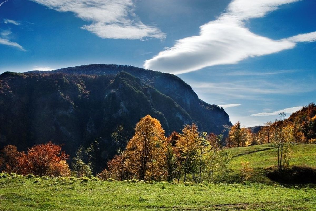 Medvednik (Foto: Sveta Kovačević)