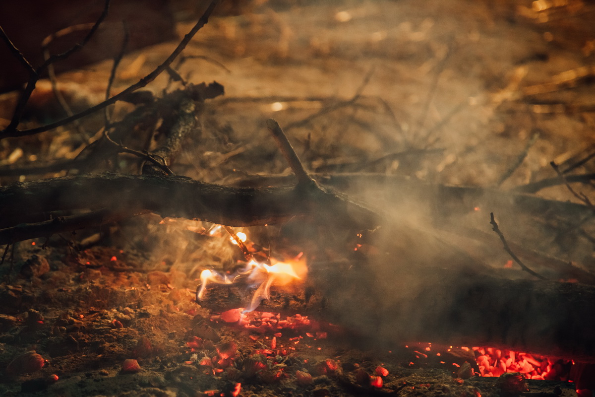 Badnjak (Foto: Đorđe Đoković)
