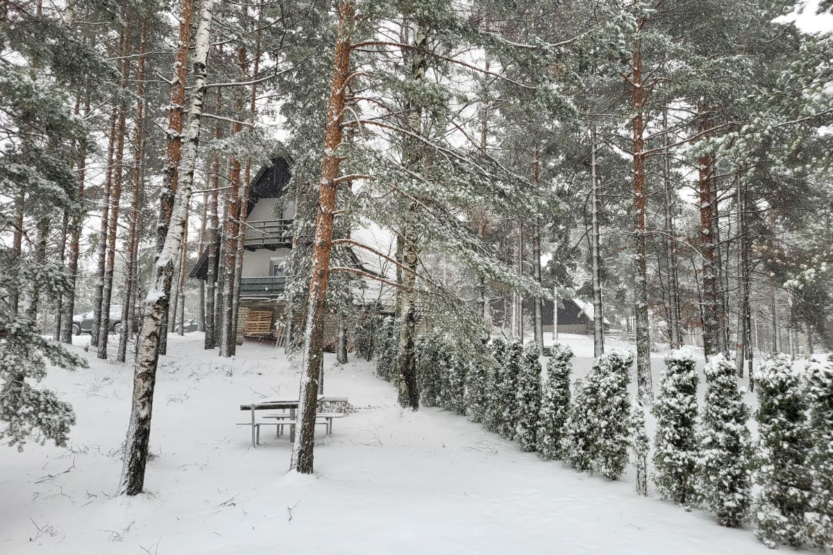 Divčibare (Foto: Kolubarske.rs)