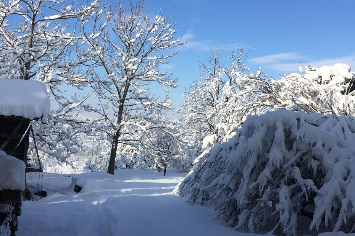 Klinci (Foto: Kolubarske.rs)