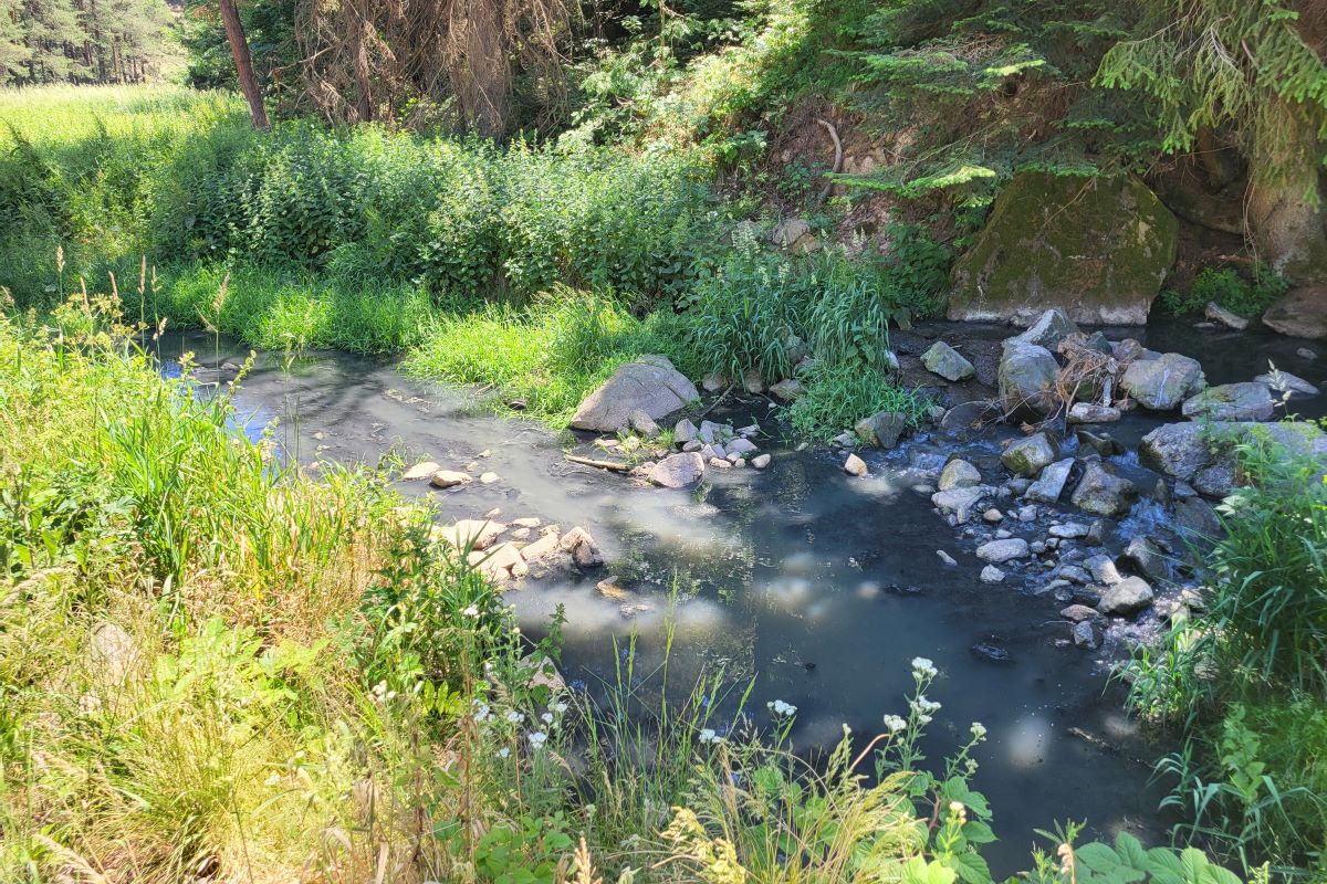 Crna Kamenica (Foto: Kolubarske.rs)