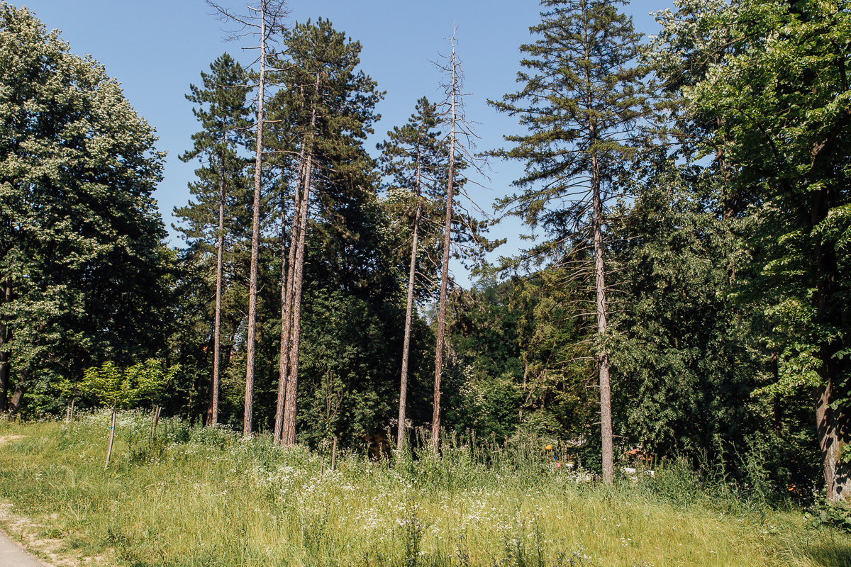 Park Pećina (2020.) (Foto: Đorđe Đoković)