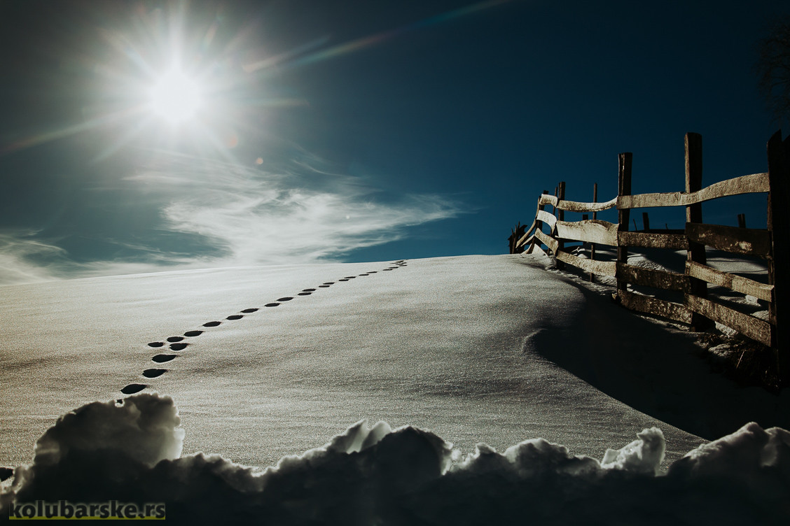 Ispod Velikog Povlena (Foto: Đorđe Đoković)