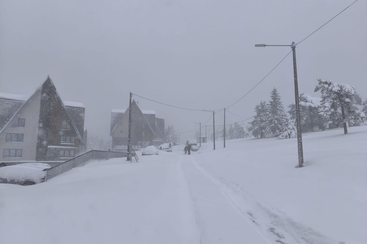 Divčibare - put ka ski stazi (Foto: Kolubarske.rs)