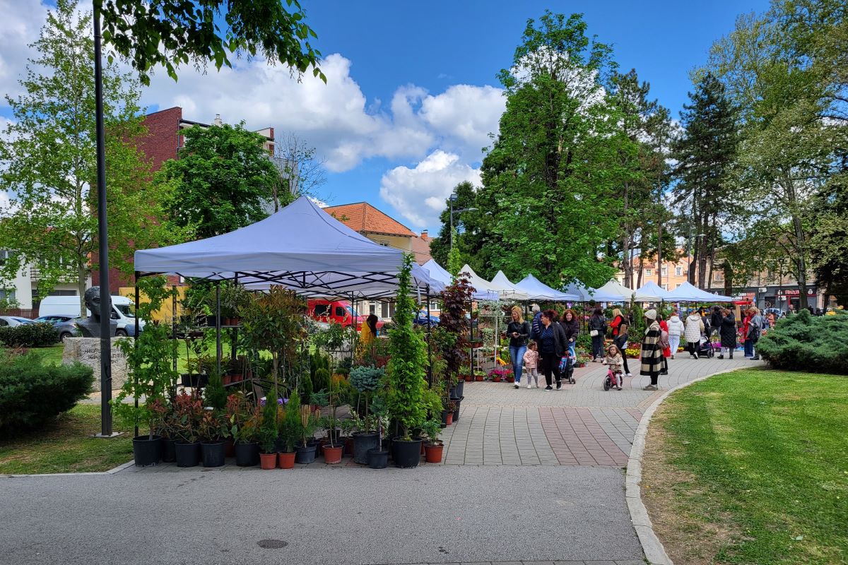 Izložba cveća u Parku na Jadru (arhiva) (Foto: Kolubarske.rs)