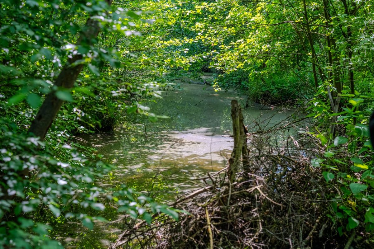Izvorište pitke vode na imanju Rankovića (Foto: Nikola Novković)