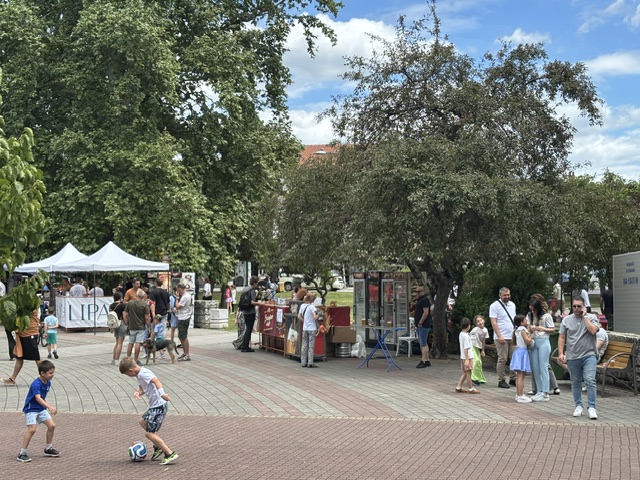 "Tren" festival