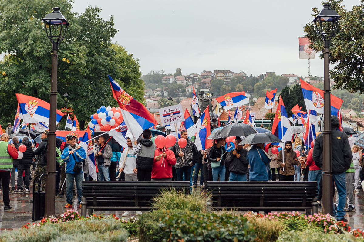 Miting SNS (ilustracija) (Foto: Đorđe Đoković)