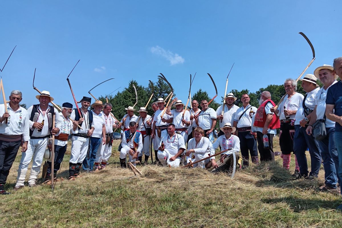 Učesnici takmičenja