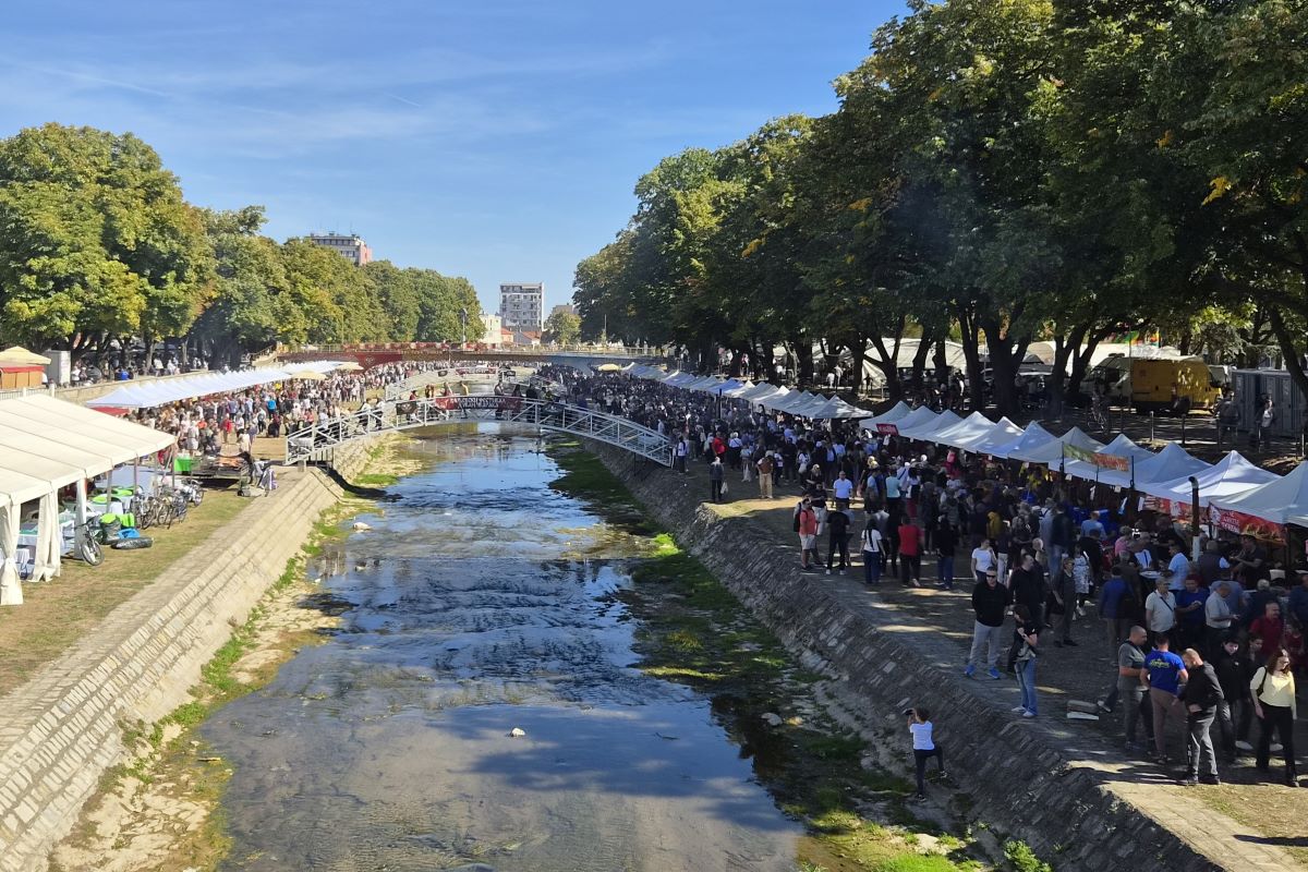 Festival duvan čvaraka (Foto: Kolubarske.rs)